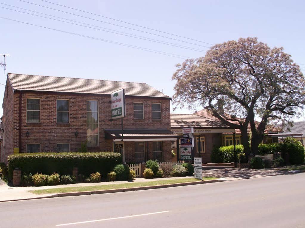 Cedar Lodge Motel Armidale Esterno foto
